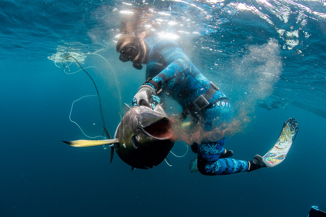 Spearfishing: The Sustainable Way To Fish KILLSHOT Life Spearfishing: The Sustainable Way To Fish KILLSHOT Life