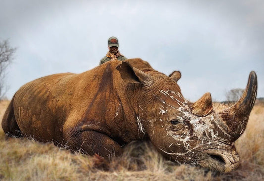Hunting for Conservation: Africa’s Wildlife as a Resource