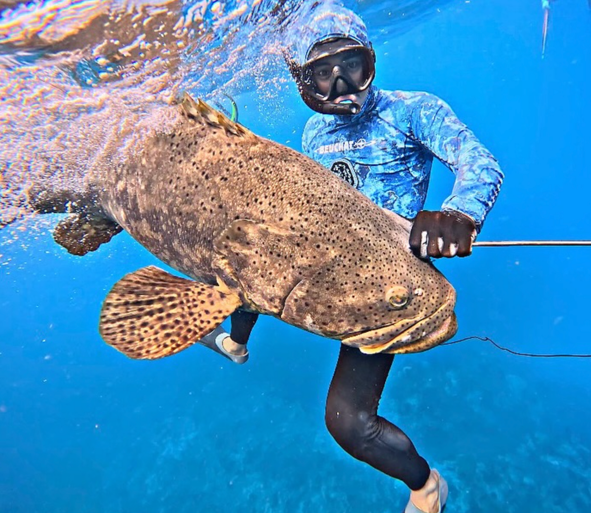 Florida Has A Goliath Grouper Problem