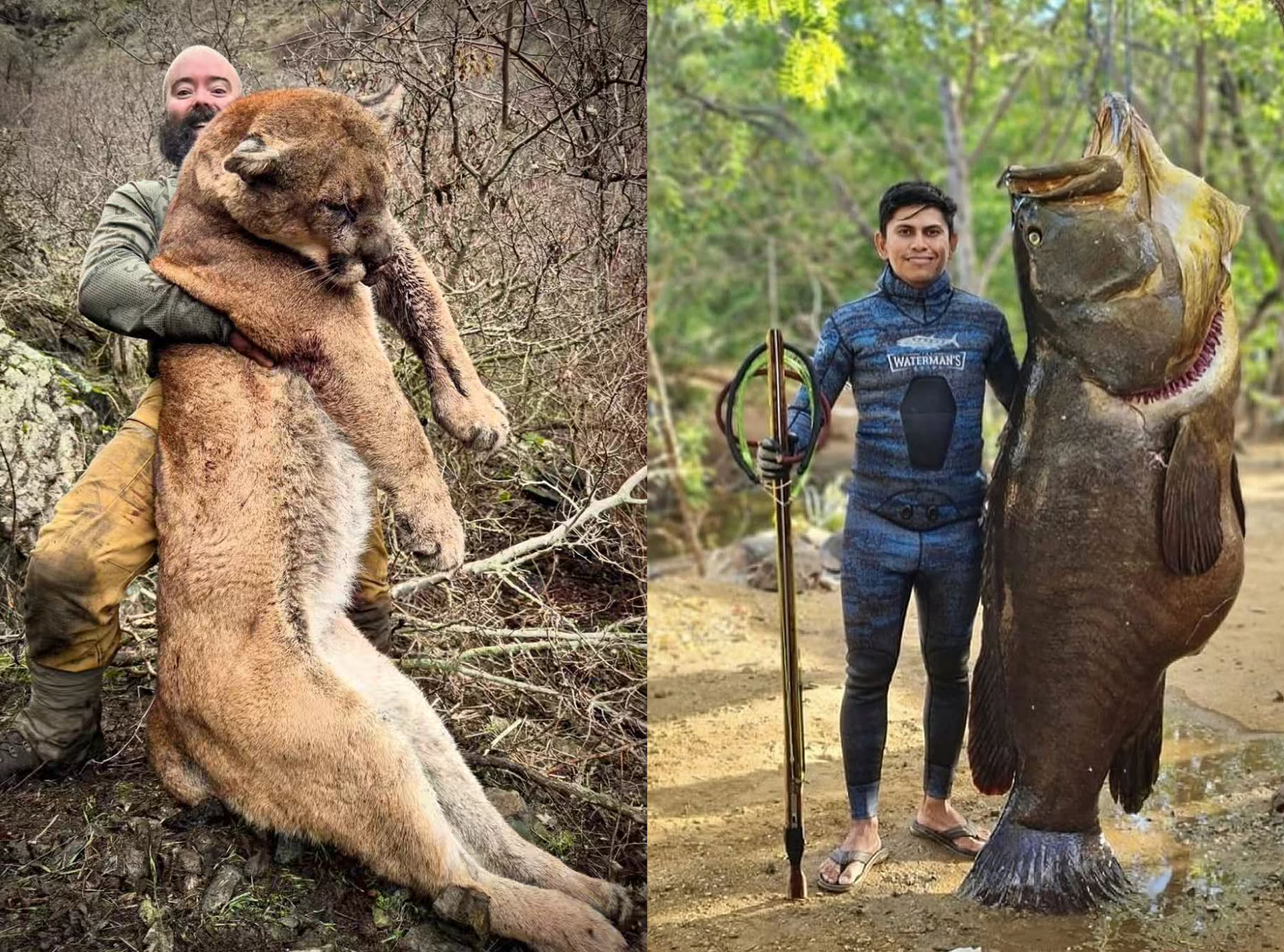 Predator Management Is Not About Hating Predators