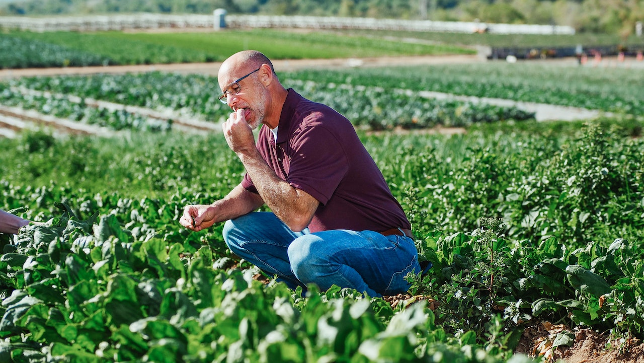 Is Converting to Veganism Really Saving Animals?