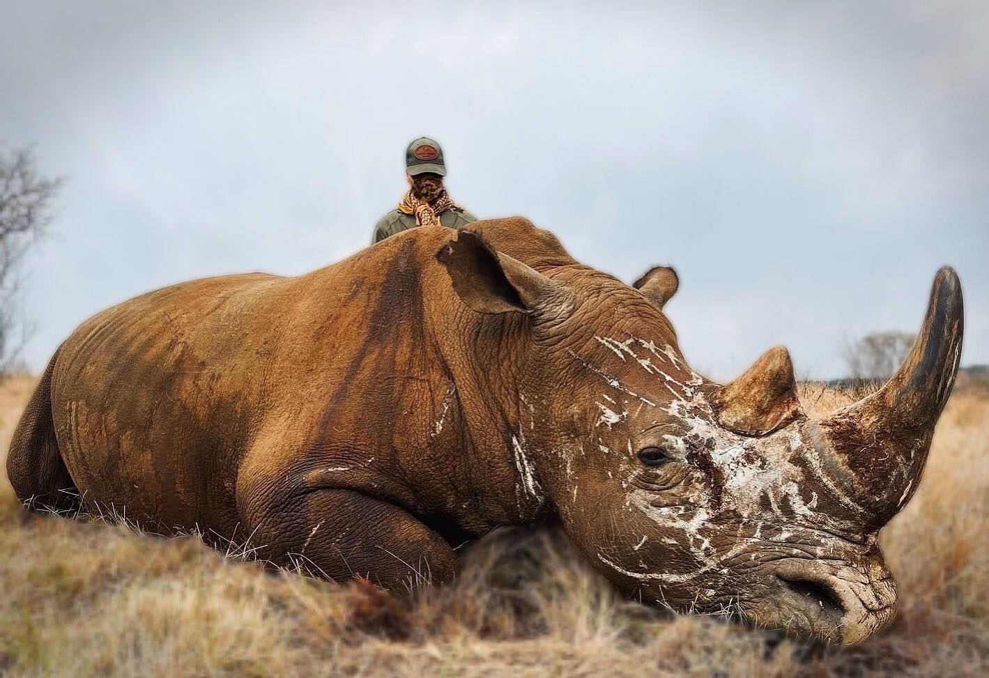Hunting for Conservation: Africa’s Wildlife as a Resource