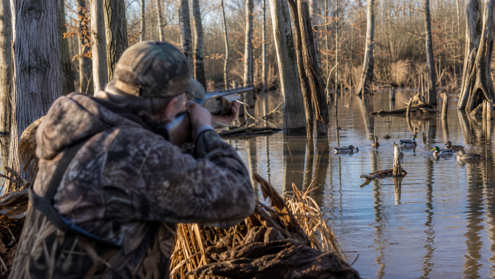 Arkansas Proposes Duck Hunting Draw for Part of St. Francis Sunken Lands WMA