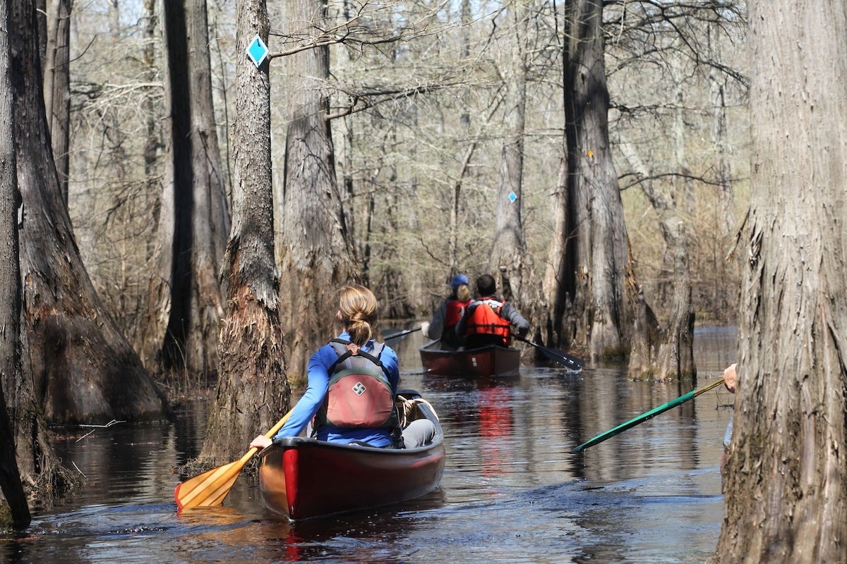 Arkansas Now Requires Access Permits for Many Non-Hunting WMA Users