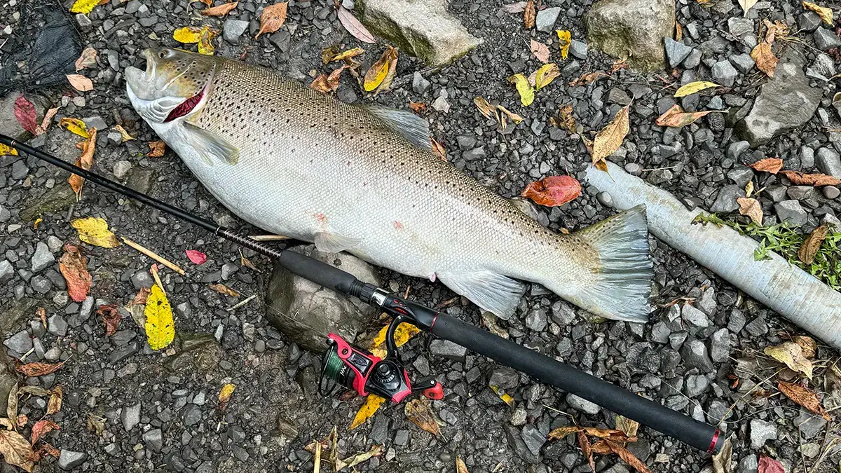 Permanent Easement Protects Angler Access at Burt Dam on Eighteen Mile Creek