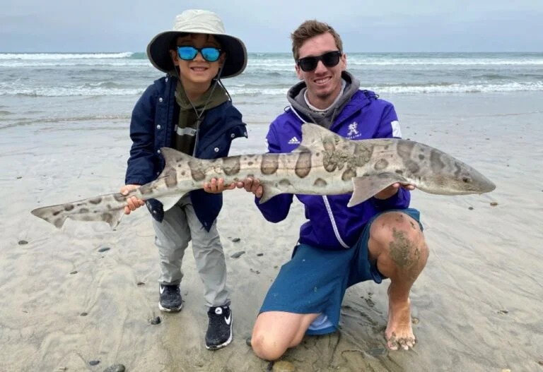 California Shark Gear Rule Shows What Happens When Anglers Get Cut Out