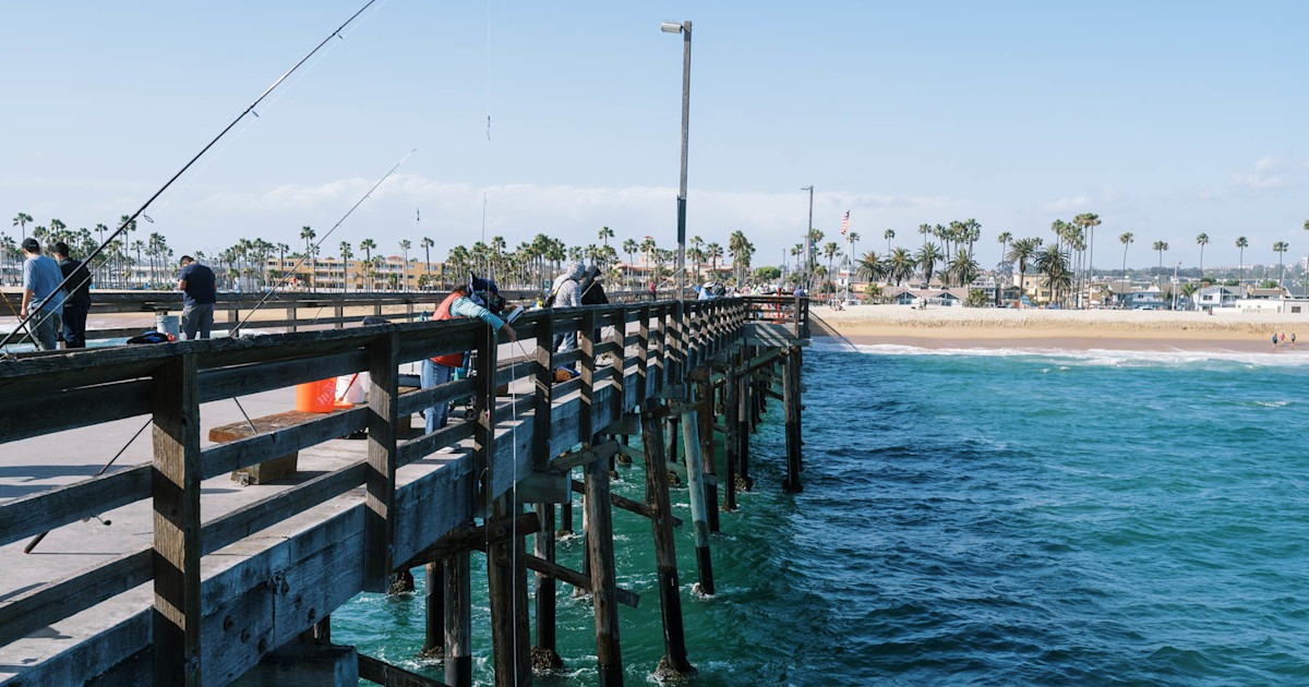 California Emergency Rule Restricts Shore and Pier Shark Fishing