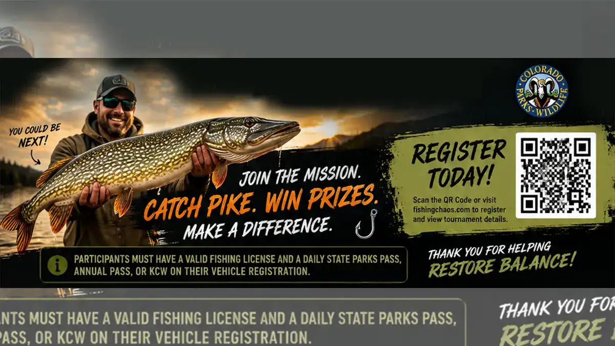 Colorado Pays Anglers to Remove Invasive Pike from Green Mountain Reservoir