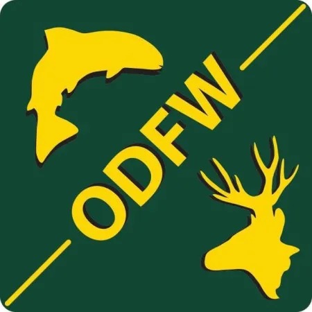 More All-Depth Pacific Halibut Days Open in the Columbia River Subarea