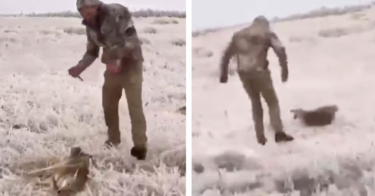 Coyote Video Blowback Is a Reminder That Predator Hunting Still Has to Be Done Right