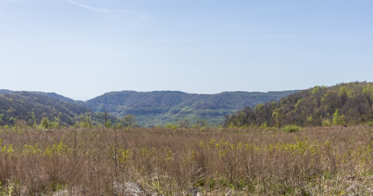 Cumberland Forest WMA Secures 54,560 Acres of Kentucky Access and Elk Habitat