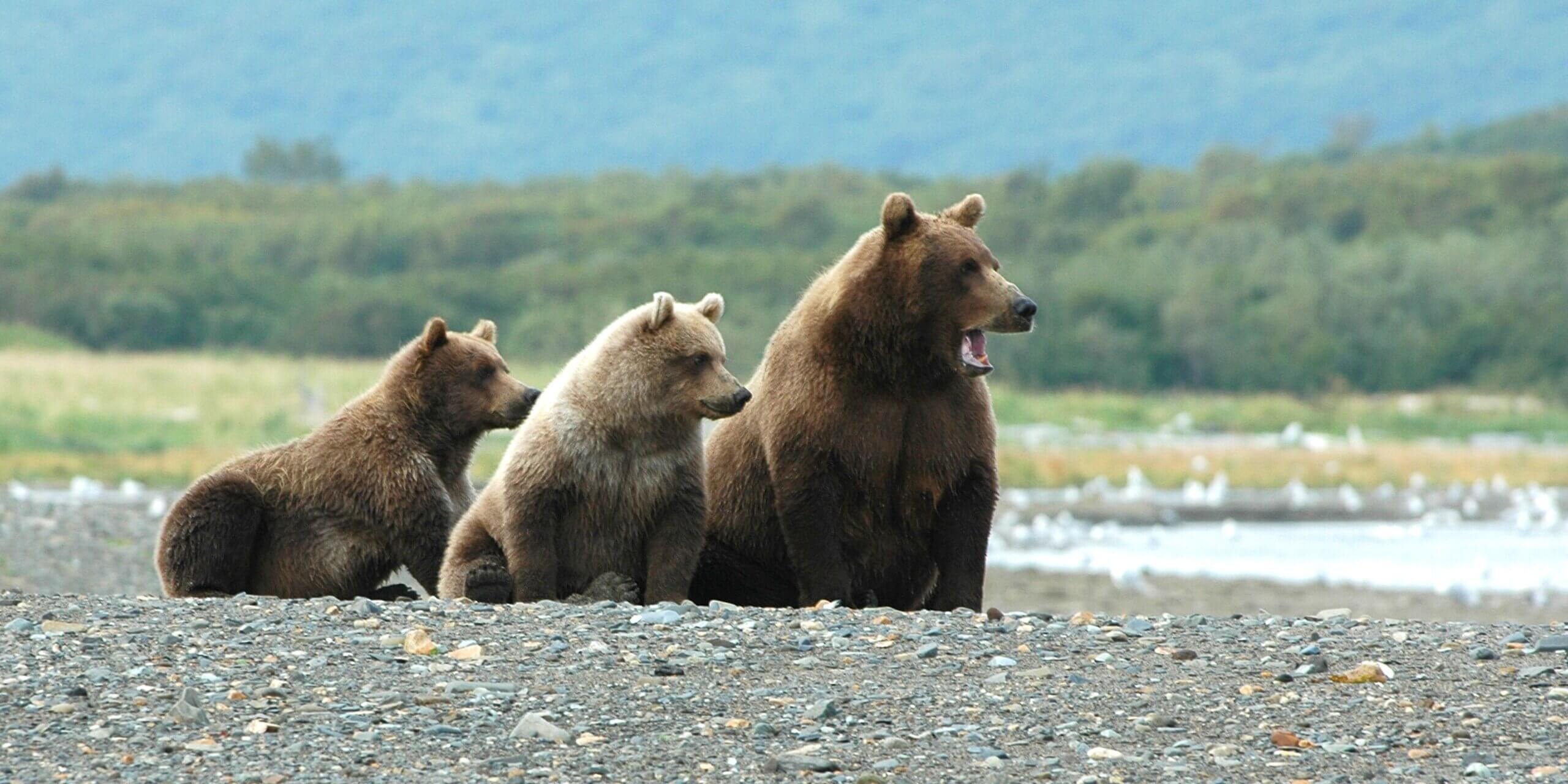USFWS Rescinds Blanket 4(d) Rule for Threatened Species