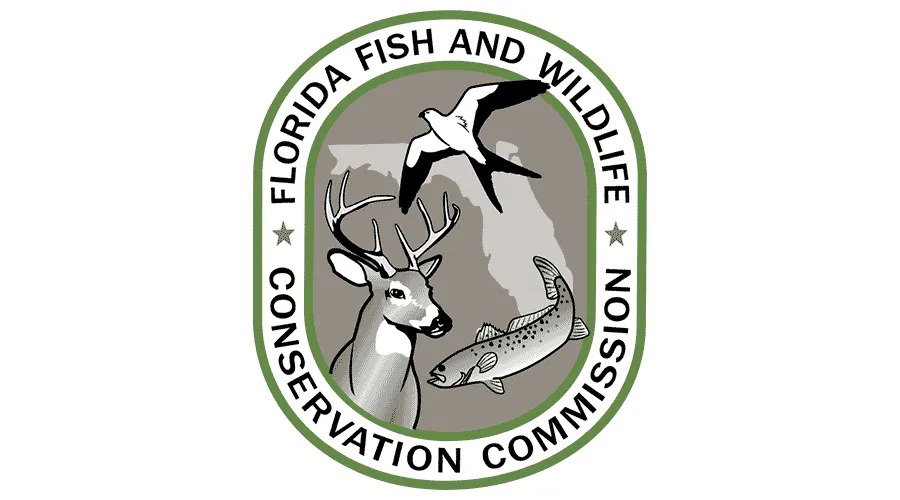 Florida Gulf Greater Amberjack Season Opens September 1