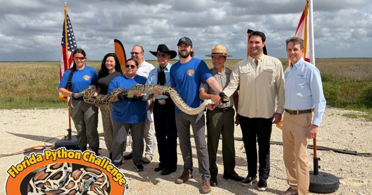 Florida Python Challenge Opens Registration for 2026
