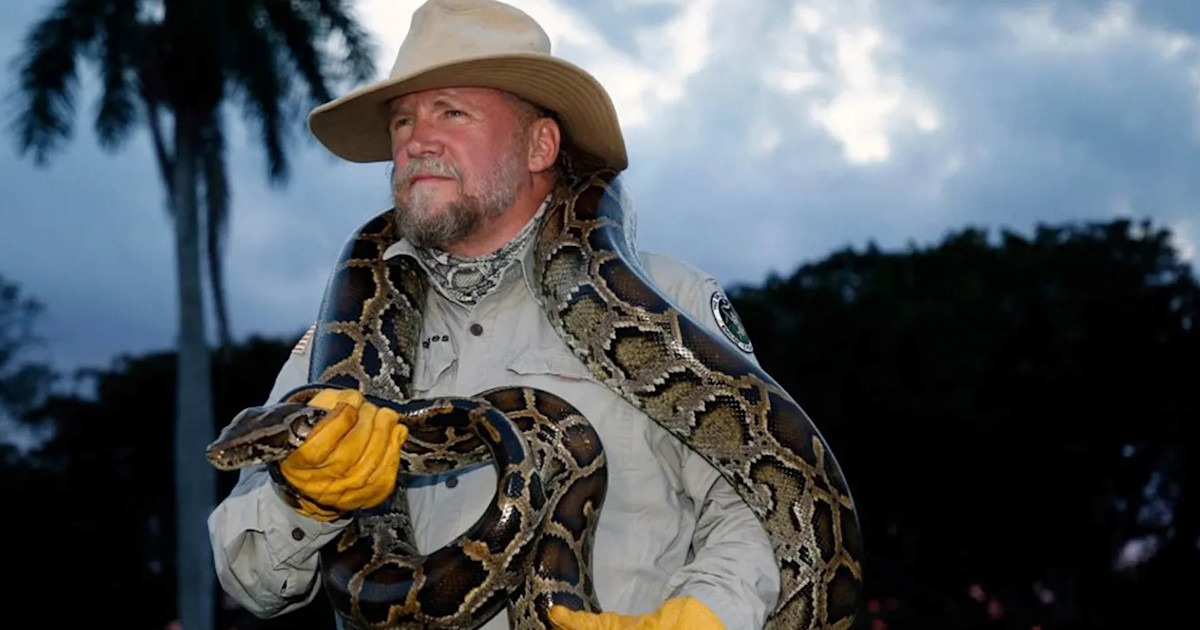 Florida Python Challenge Record Shows Why Invasive Predator Removal Matters