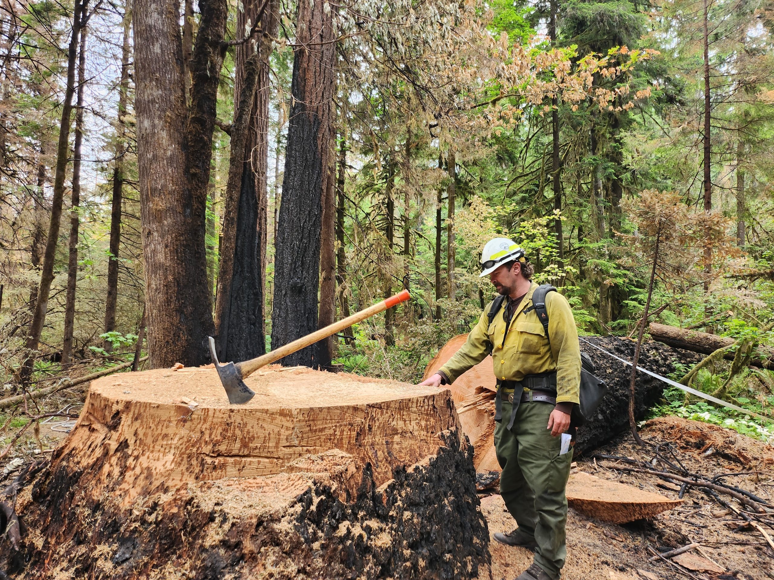 Forest Service Access Fight Comes Back to Multiple Use and Working Public Land