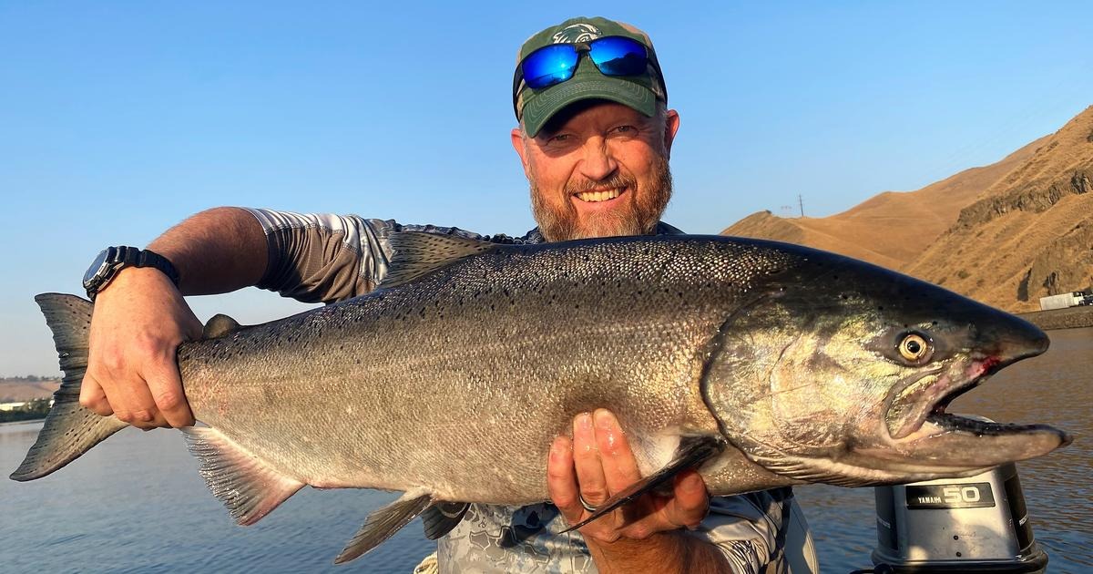 Idaho Approves 2026 Summer Chinook Seasons on Three Rivers