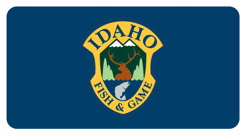 Idaho Closes Chinook Salmon Fishing on the South Fork Salmon River