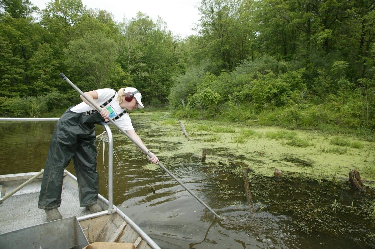 Illinois River Sees Extensive Invasive Silver Carp Die-Off