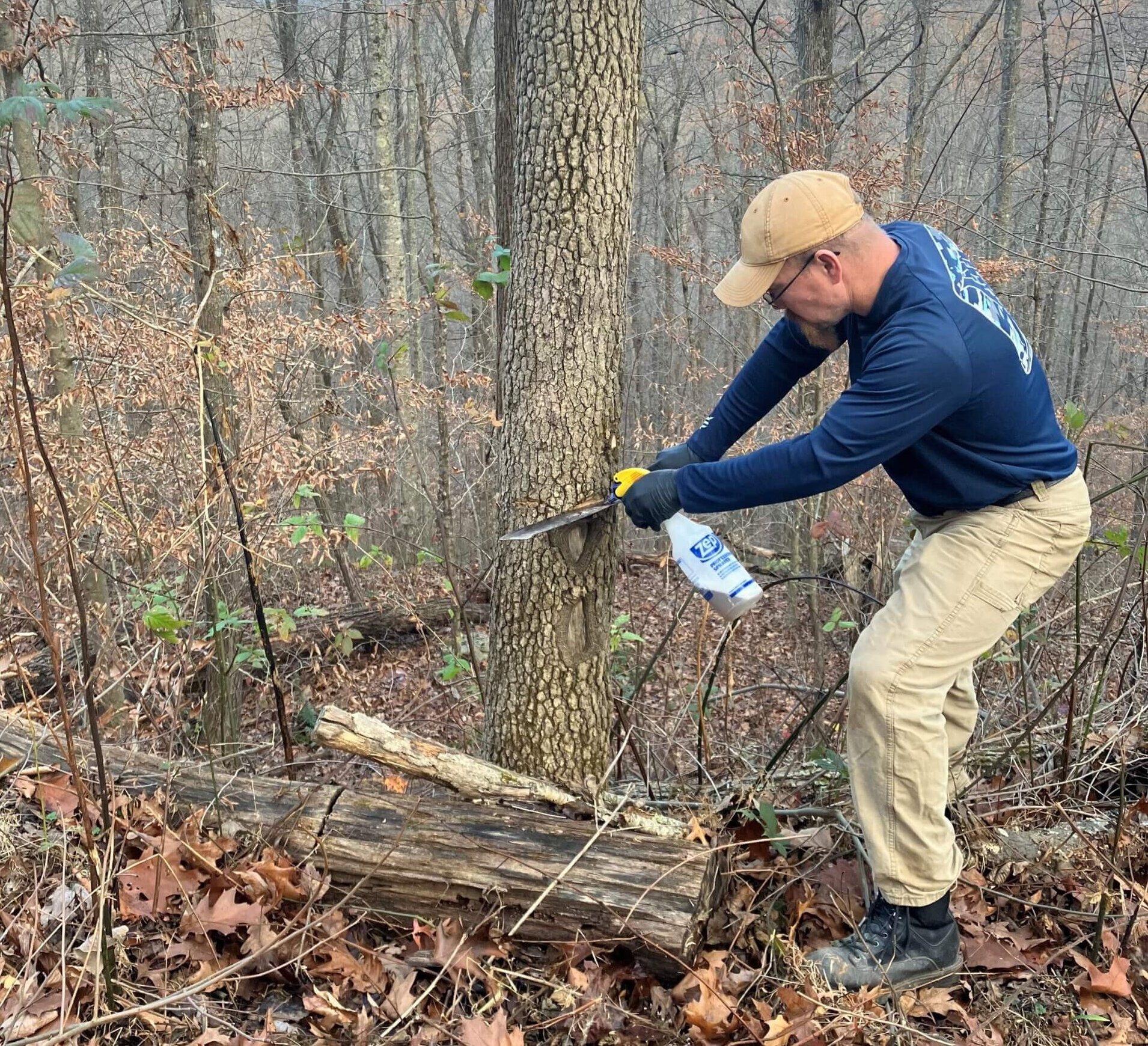 Kentucky Oak and Hickory Work Builds Better Elk and Deer Habitat