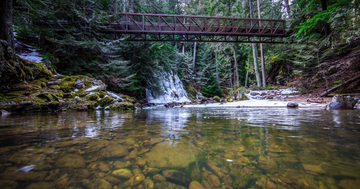 Kootenai Refuge Opens Comment on Underground Powerline Right-of-Way