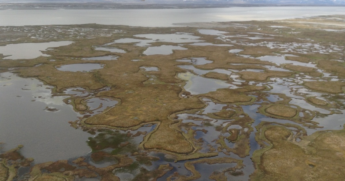 Kuskokwim River Salmon Openings Show the Balance Between Subsistence and Conservation