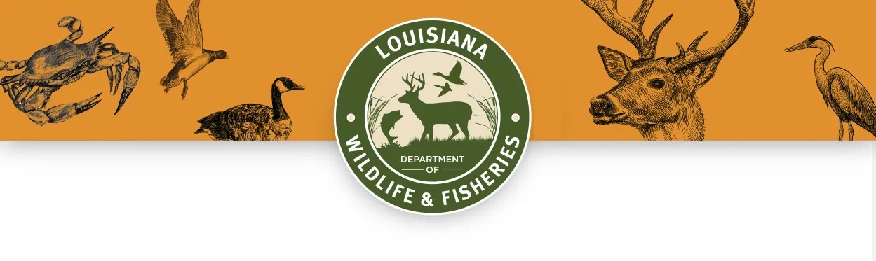Louisiana Backs Test Permit for State-Managed Greater Amberjack Season