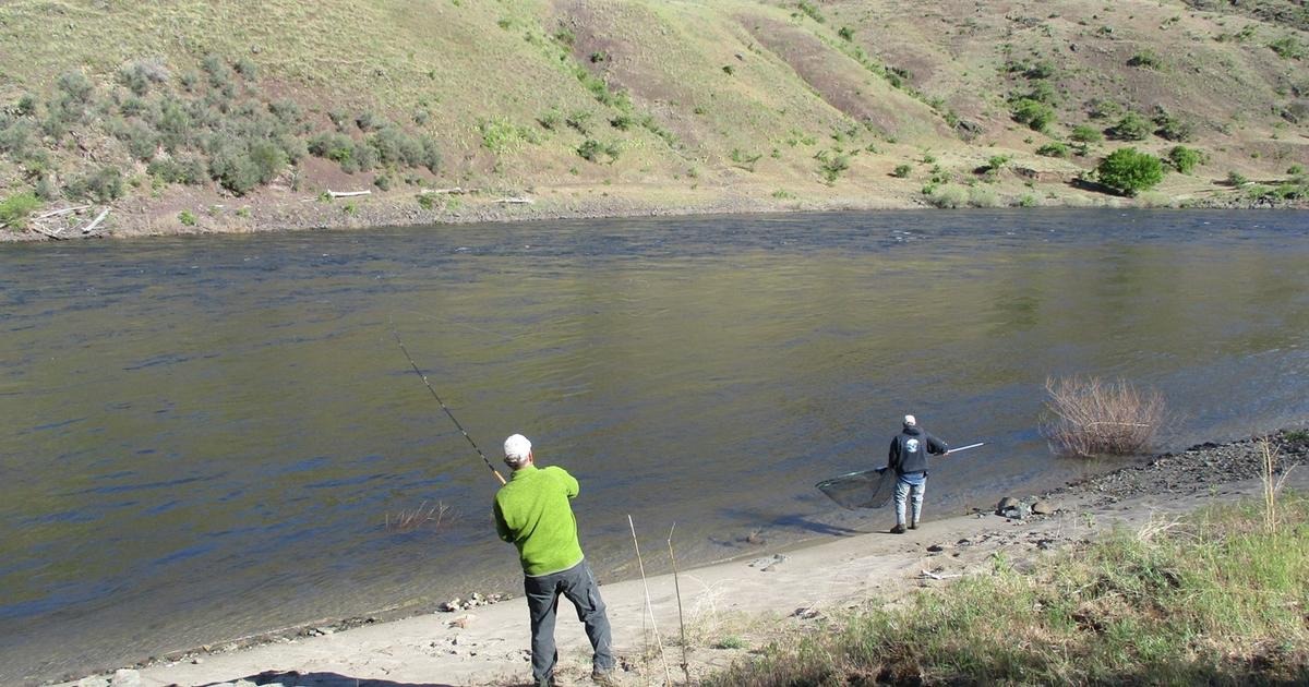Lower Salmon River Section Closed to Chinook Fishing