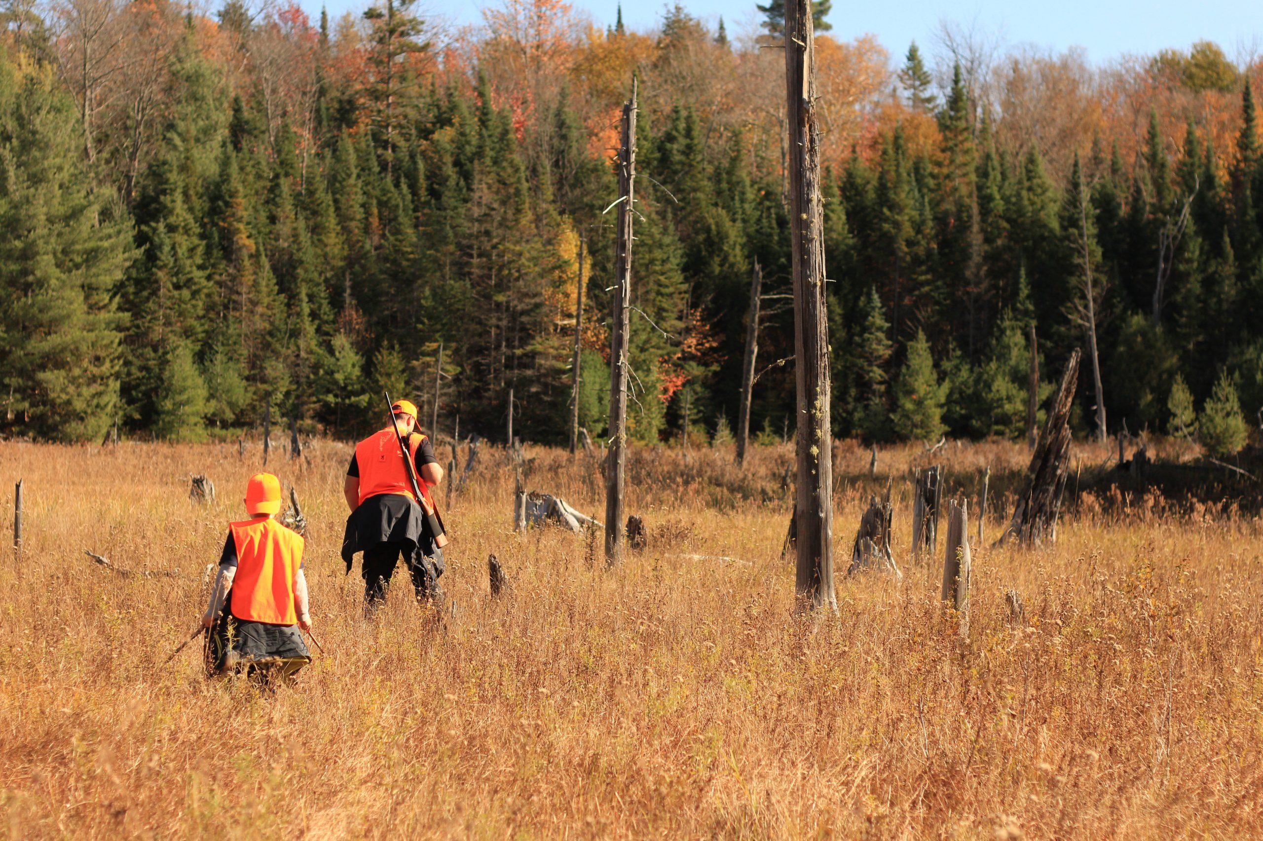 Massachusetts Sunday Hunting and Archery Reform Head to Conference Committee