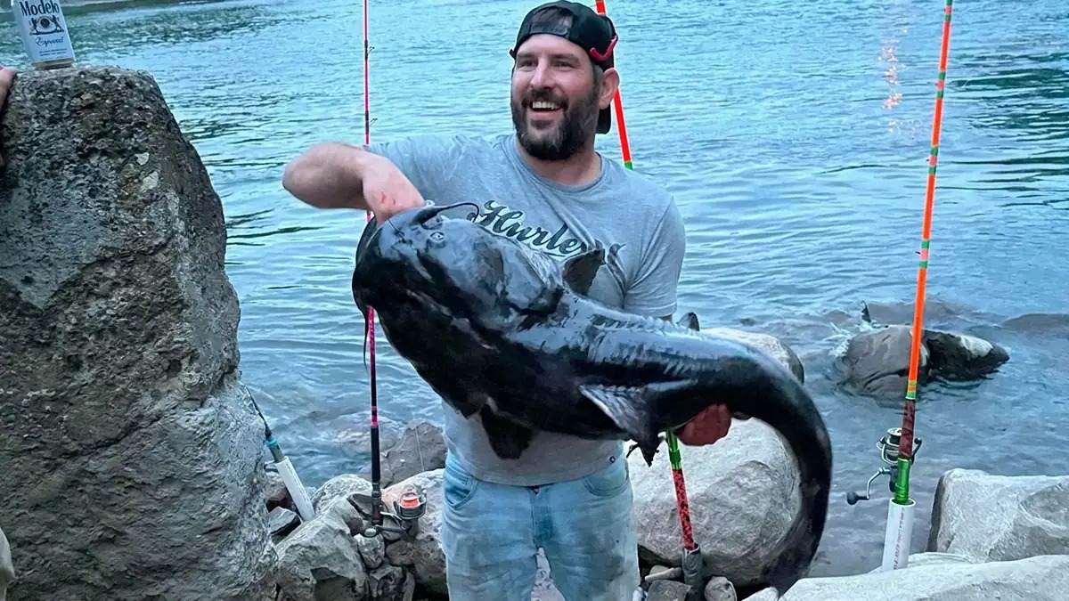 Michigan Bank Angler Lands and Releases 48.1-Pound Flathead Catfish
