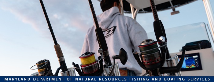 Mid-Atlantic Workshop Could Shape How Recreational Fisheries Are Split and Managed