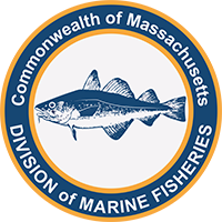 Mid-Atlantic Managers Seek Anglers for Recreational Sector Separation Workshop