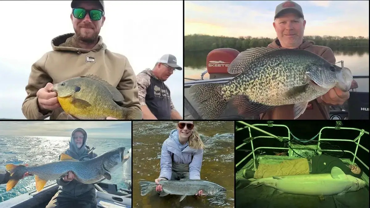 Minnesota Anglers Have Already Landed Nine State Fish Records in 2026