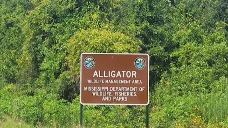 Mississippi Opens Alligator WMA for New Delta Public Hunting Access