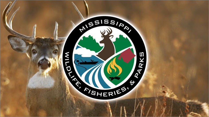 Mississippi Pushes CWD Education Ahead of Deer Season