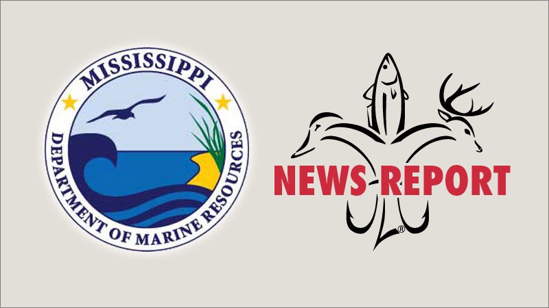 Mississippi Opens Short Recreational Gag and Greater Amberjack Seasons