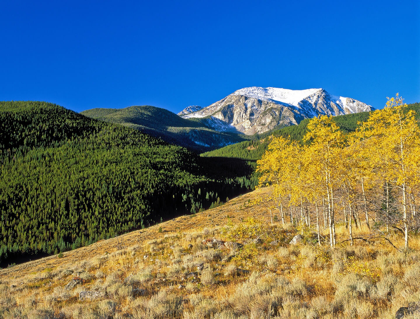 Montana Project Conserves Tobacco Roots Habitat and Opens More Public Access