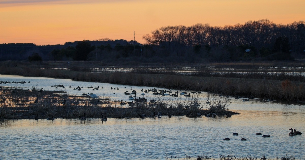 USFWS Highlights Hunting, Fishing, and Stewardship Across the Refuge System