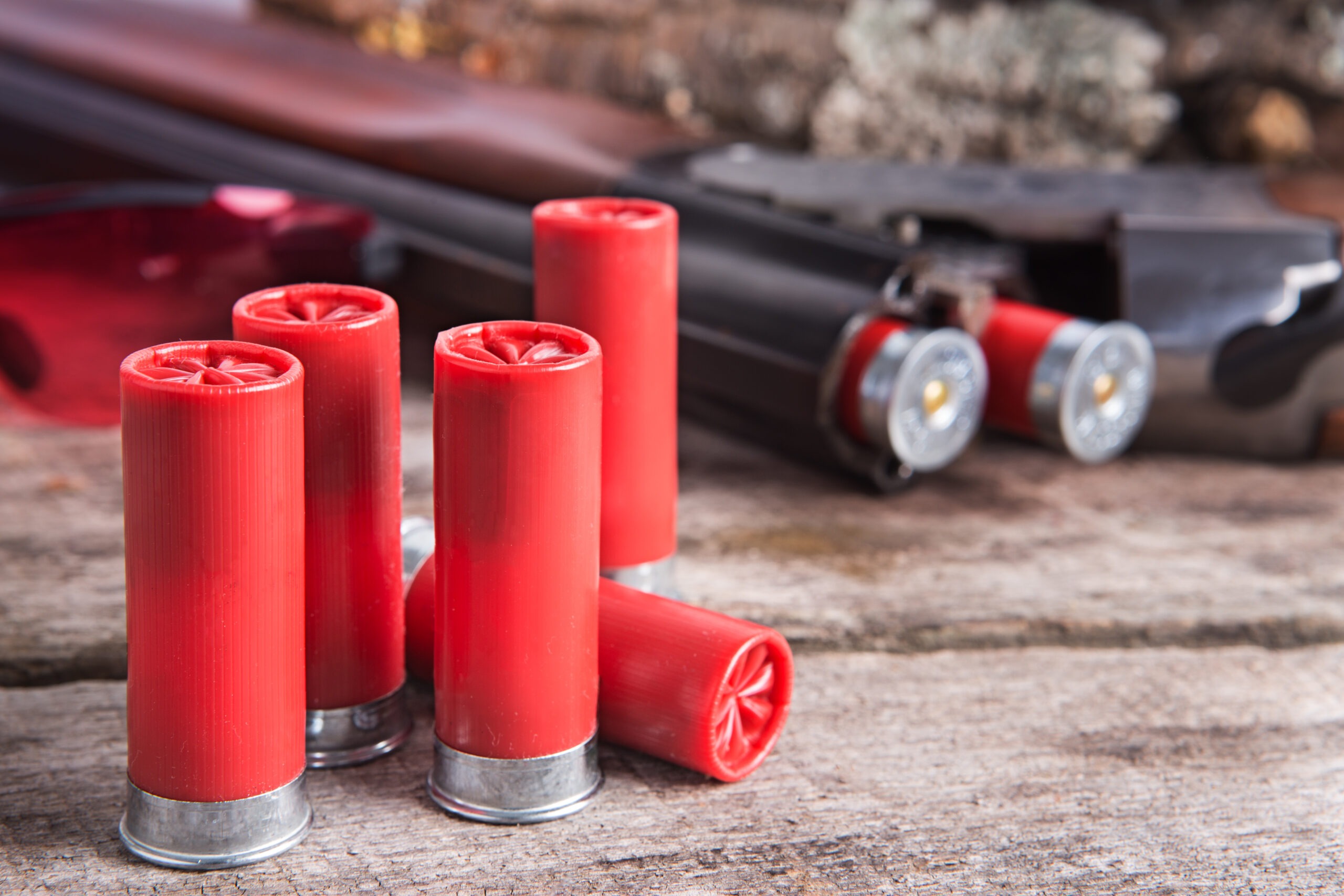 Sportsmen Intervene in New Jersey Lead Ammunition Ban Lawsuit