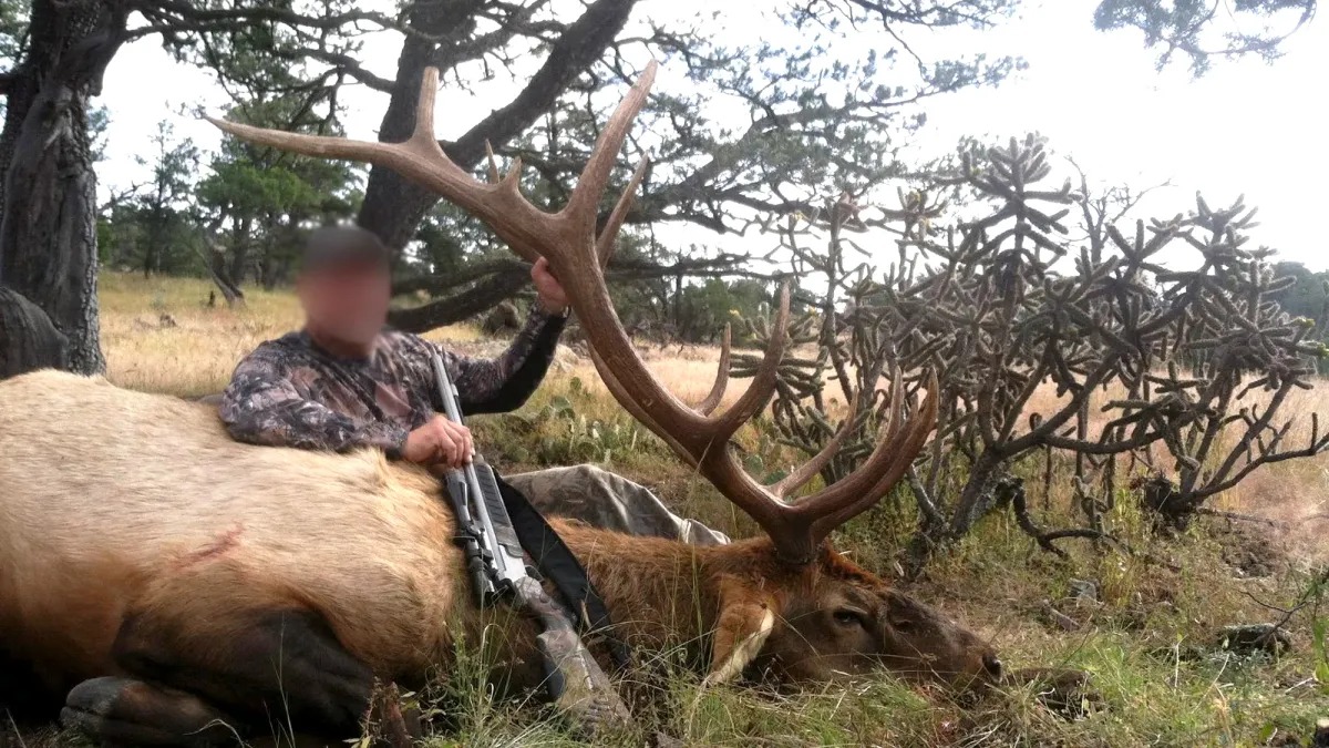 New Mexico Elk Tag Fraud Charges Show Why Fair Draw Systems Matter