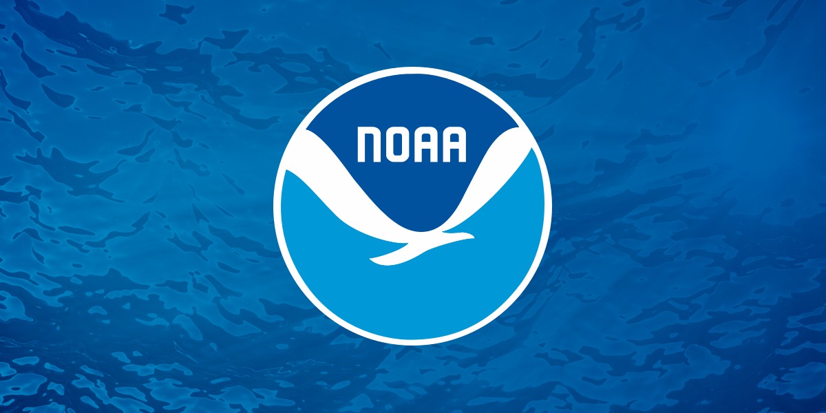 NOAA Says Smalltail Shark Does Not Warrant Endangered Species Act Listing