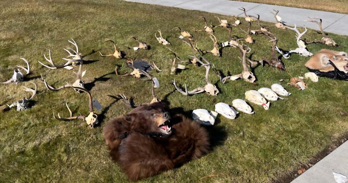 Oregon Serial Poacher Gets Lifetime Hunting Ban and $114K in Fines