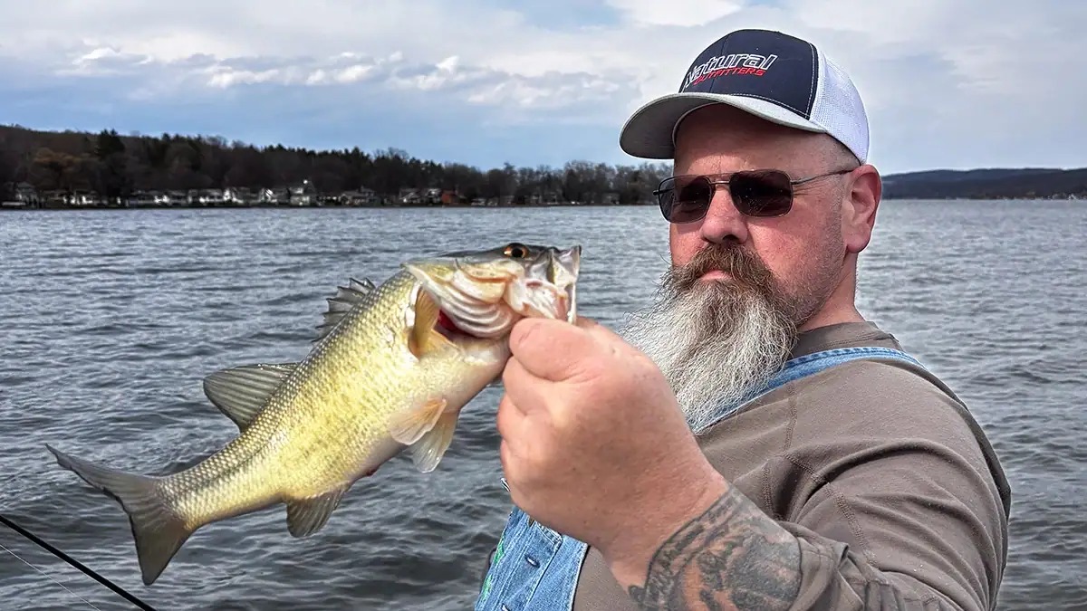 Stunted Pond Bass Show Why Legal Harvest Is a Management Tool