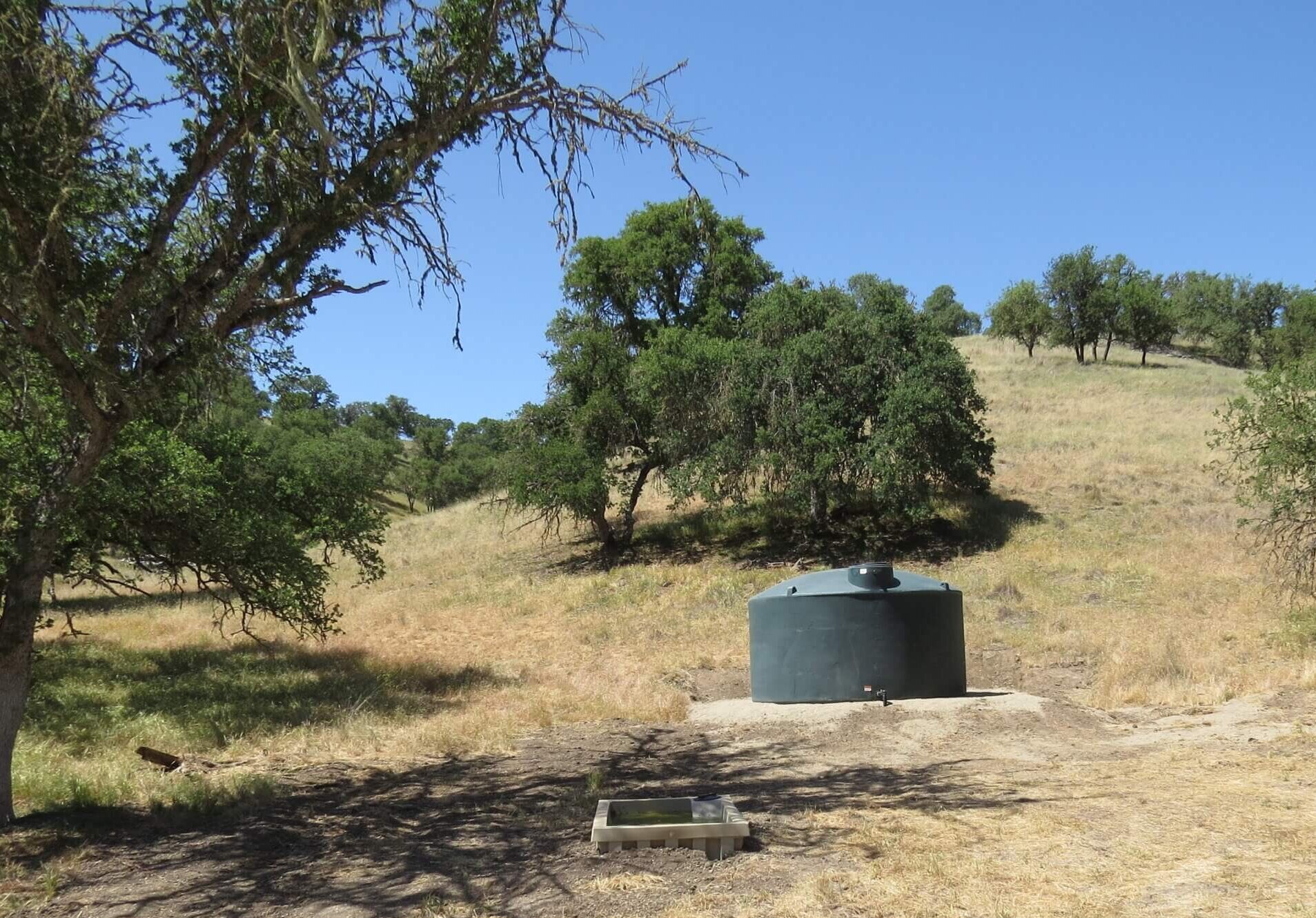 RMEF Water Projects Add Big Game Water in California and Arizona