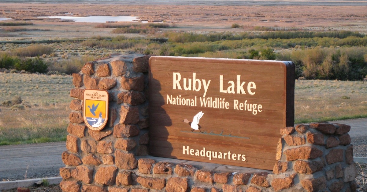 Ruby Lake NWR Opens Comment Period on Using Livestock Grazing for Meadow Management