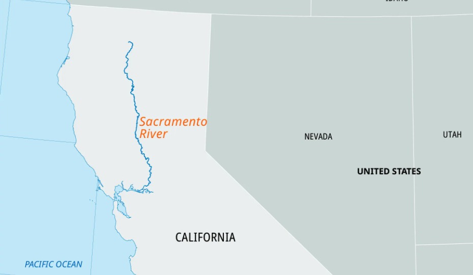 Sacramento River Salmon Fishing Returns After Four-Year Closure