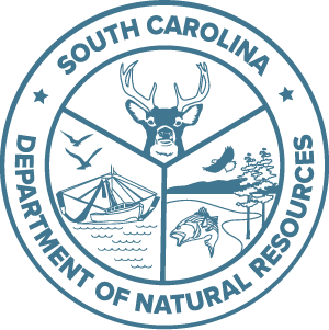 South Carolina Red Snapper Pilot Season Put on Hold by Federal Court Fight
