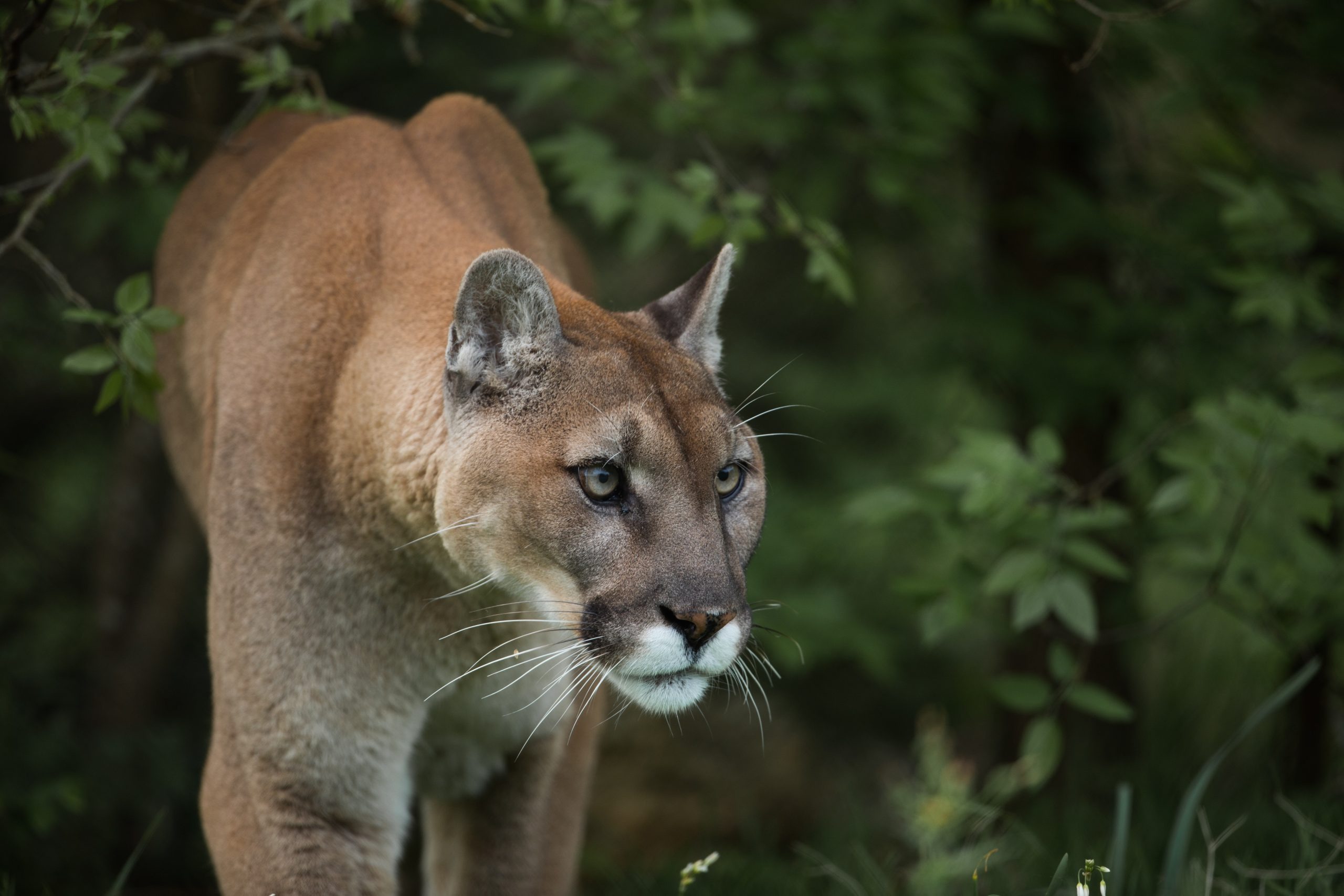 South Dakota GFP Takes Up 2026-27 Hunting and Fishing Regulations