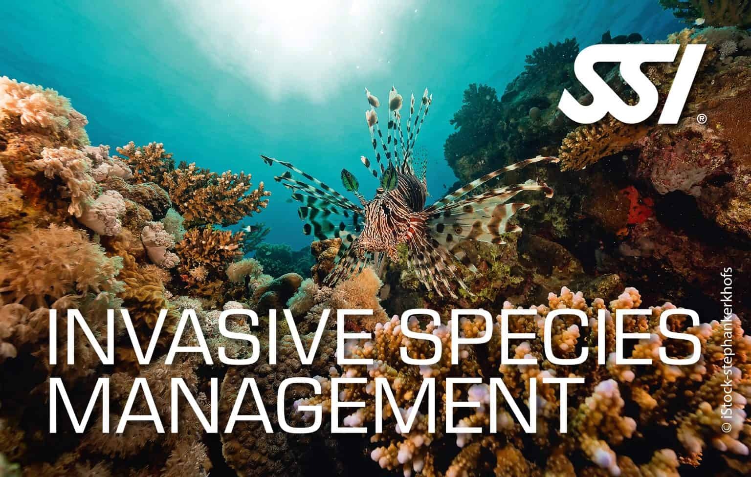 SSI Launches Invasive Species Management Specialty for Divers