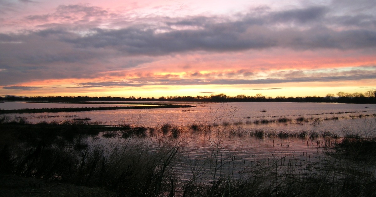 Stone Lakes Refuge Proposal Would Restore 580 Acres of Delta Marsh Habitat